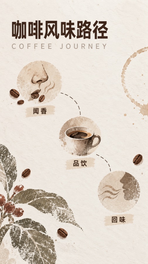 咖啡风味路径 · AI 生成样图