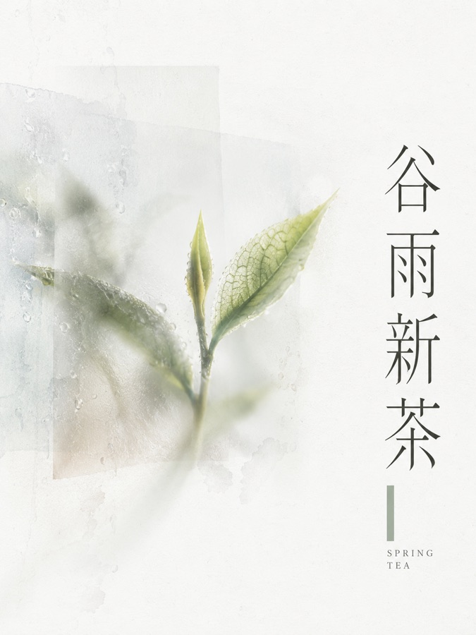 谷雨新茶 · AI 生成样图